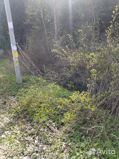 Снос демонтаж, расчистка участков