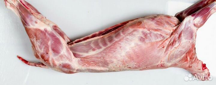 Мясо. Тушка козлика