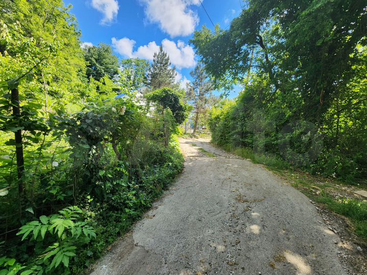 Участок 5,5 сот. (СНТ, ДНП)