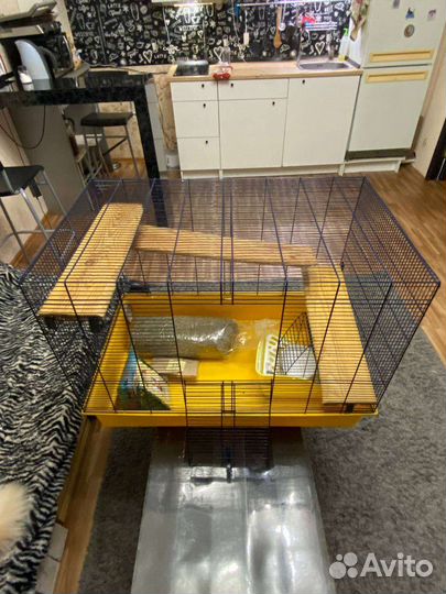 Клетка для грызунов бу (кролики, морские свинки)