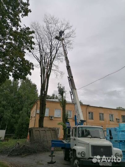 Спил деревьев, кустарников. Измельчение