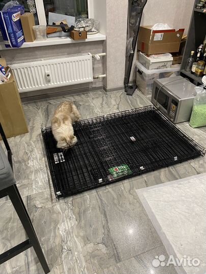 Клетка для собак