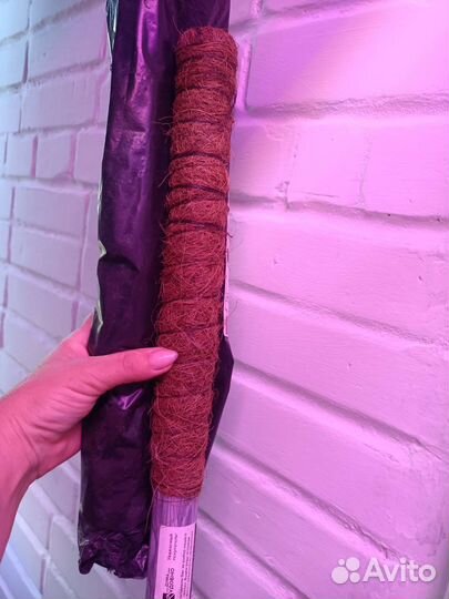 Продам цветы комнатные