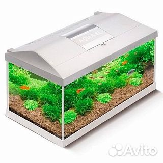 Аквариум, рыбки, decor