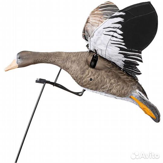 Чучело гуся махокрыла duck mania