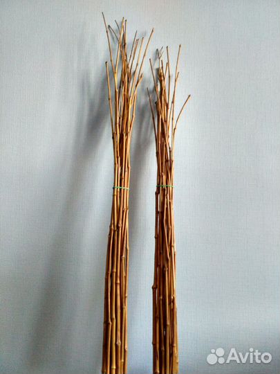 Верхушки бамбука