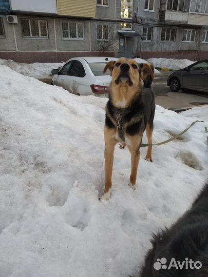 Ласковый малыш Алекс