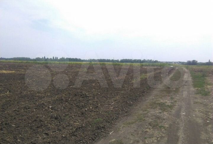 Участок 4,95 га (СНТ, ДНП)