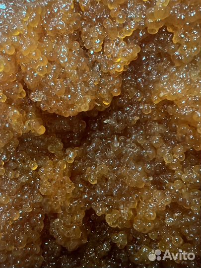 Красная икра 2023