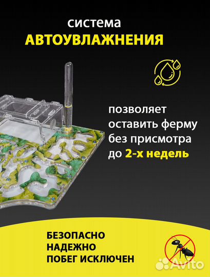 Муравьиная ферма (Формикарий) Макси c гигрометром