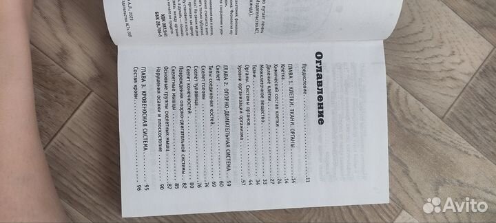 Анатомия на пальцах