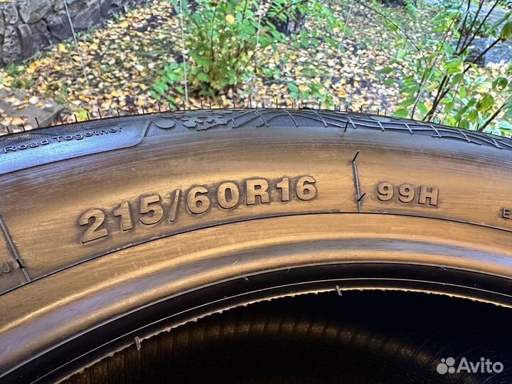 Greentrac Winter Master D1 215/60 R16 99H