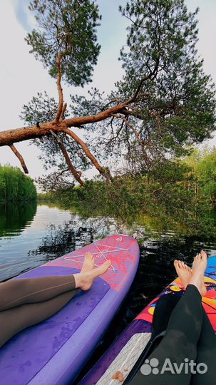 Supboard аренда, сплавы