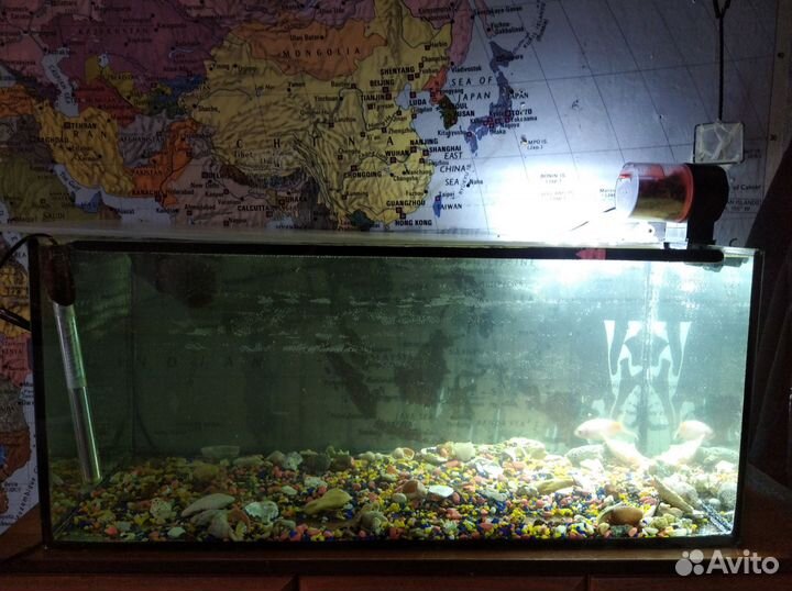 Аквариум