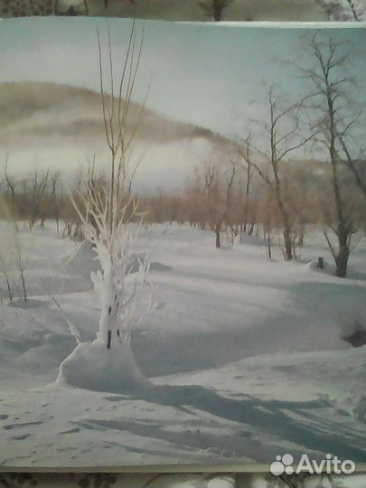 Книга северные зори