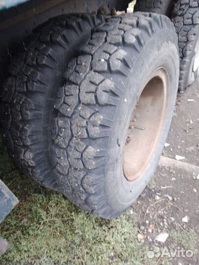 КамАЗ 5320, 1979