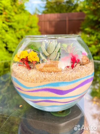 Мини флорариум с суккулентами