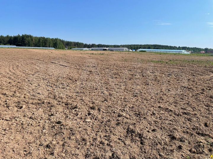 Участок 1,75 га (СНТ, ДНП)