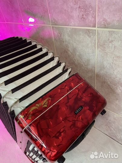 Баян Этюд 205м2 Золотистая роспись Уникальная