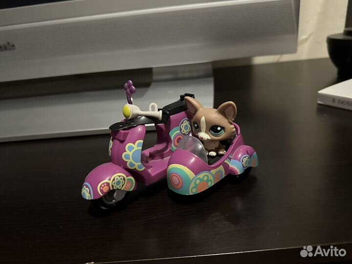 Littlest pet shop