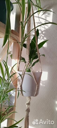 Кашпо подвесное макраме для цветов