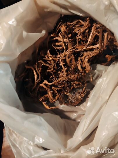 Красный корень(копеечник)