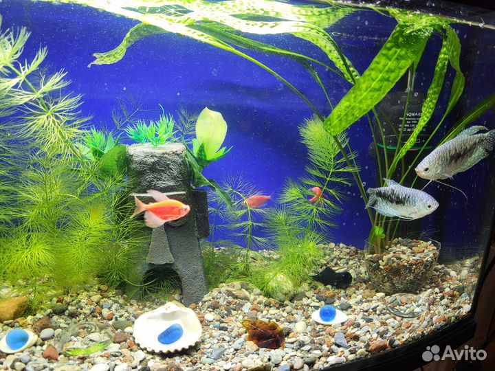 Новый аквариум Laguna Crystal 18 литров