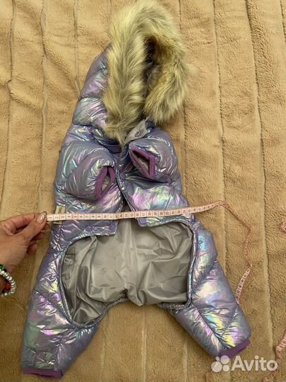 Вещи на маленькую собачку