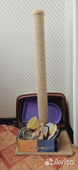 Когтеточка для кошек