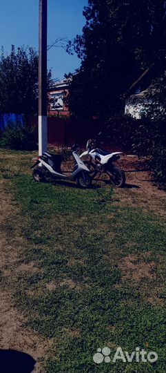 Питбайк 125