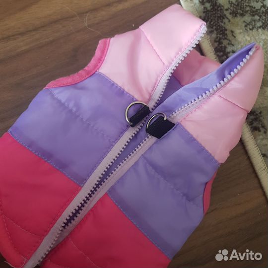 Одежда для маленьких собак