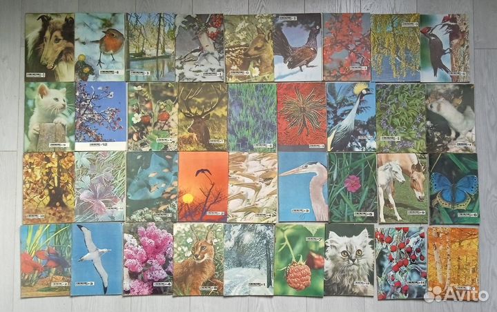 Журнал СССР 'Юный Натуралист'. 1967-1983