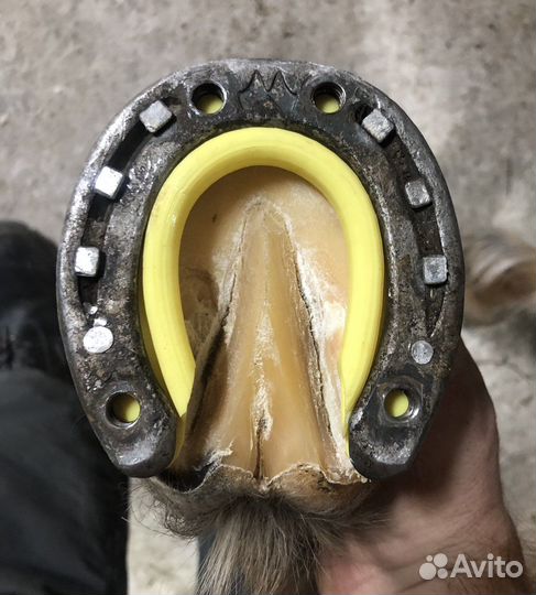 Профессиональная расчистка и ковка лошадей