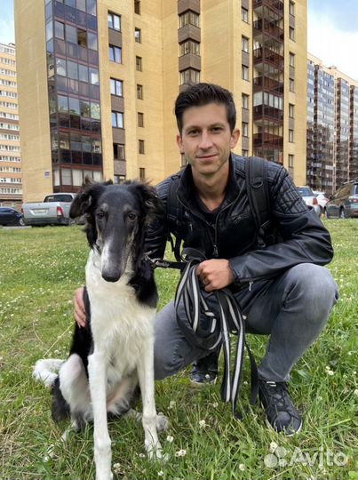 Коррекция поведения,воспитание,дрессировка,кинолог