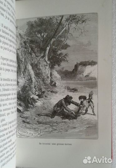 Д.Дефо. Приключения Робинзона Крузо, 1886