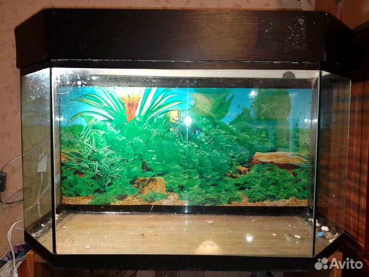 Аквариум
