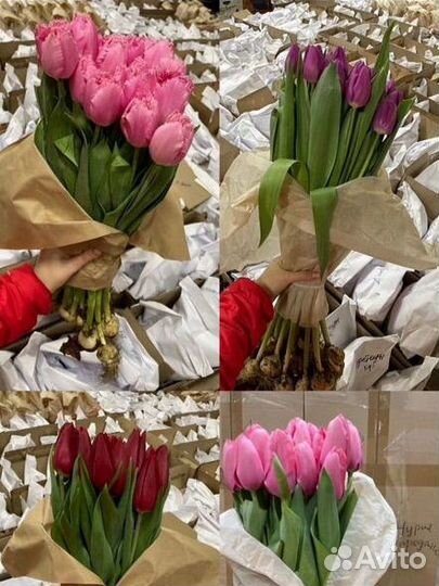 Тюльпаны на 8 марта