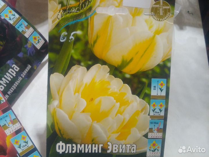 Тюльпаны махровые