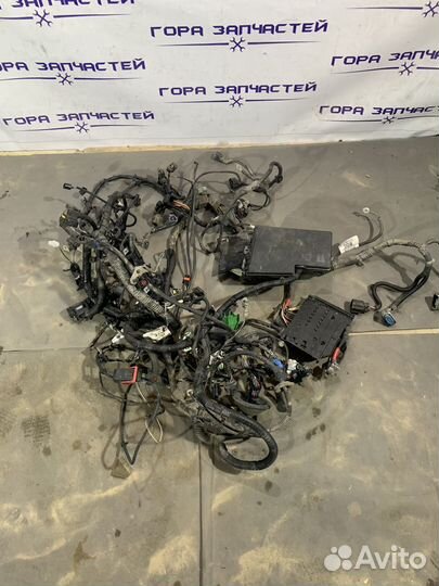 Проводка моторного отсека Ford Focus 2013