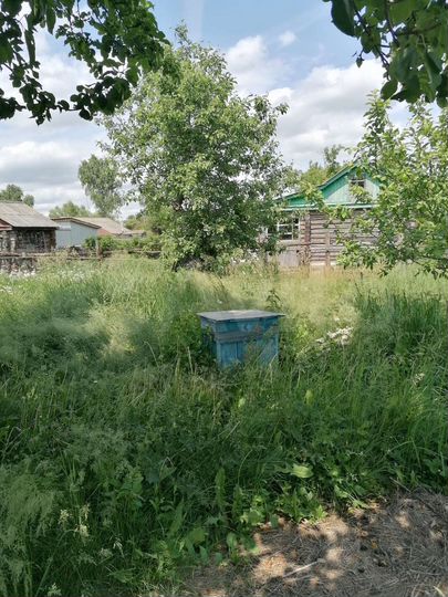 Дом 60 м² на участке 29 сот.