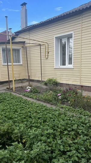 Дом 50 м² на участке 1 сот.