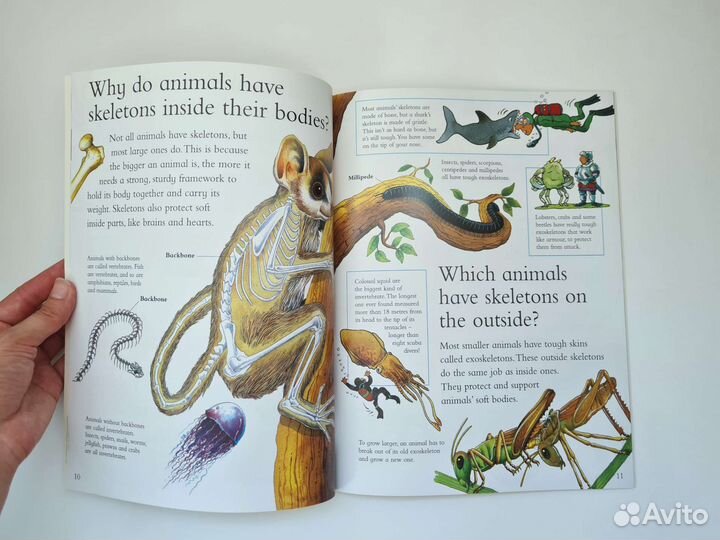 Новые детские книги на английском языке