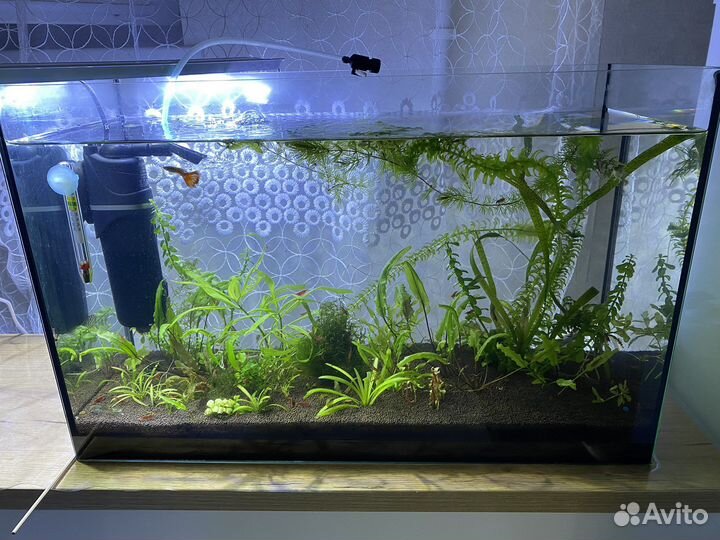 Аквариум 40 л