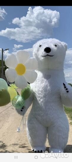 Поздравление ростовая кукла белый медведь 