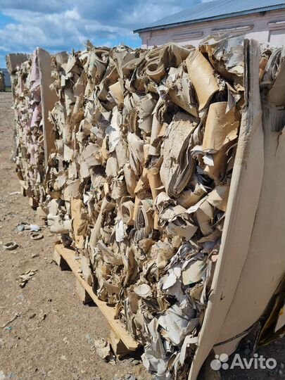 Шредер двухвальный с горизонтальным прессом