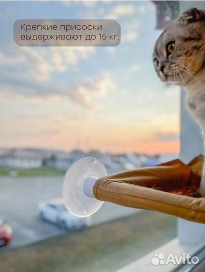 Гамак для кошек на окно