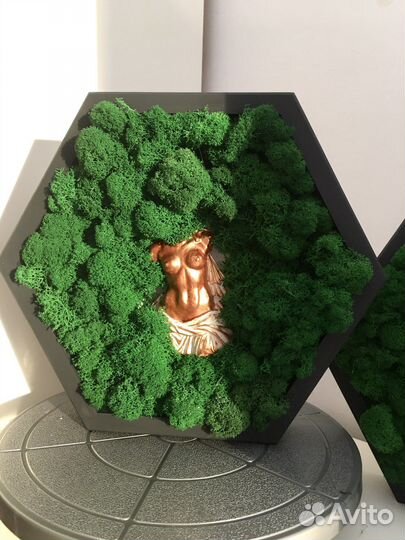 Панно со стабилизированным мхом 