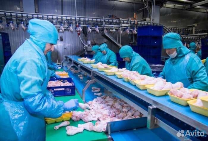 Оператор линии на птицефабрику Самарская область