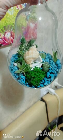 Флорариумы под заказ и в наличии