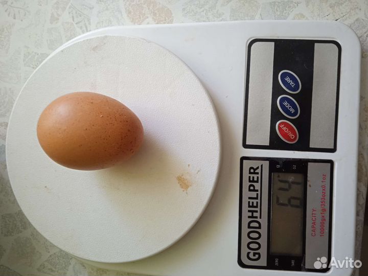 Домашние куриные яйца